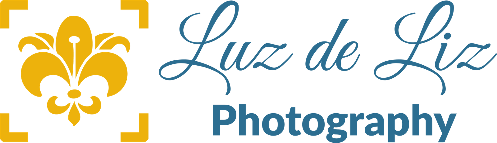 Luz de Liz Photography